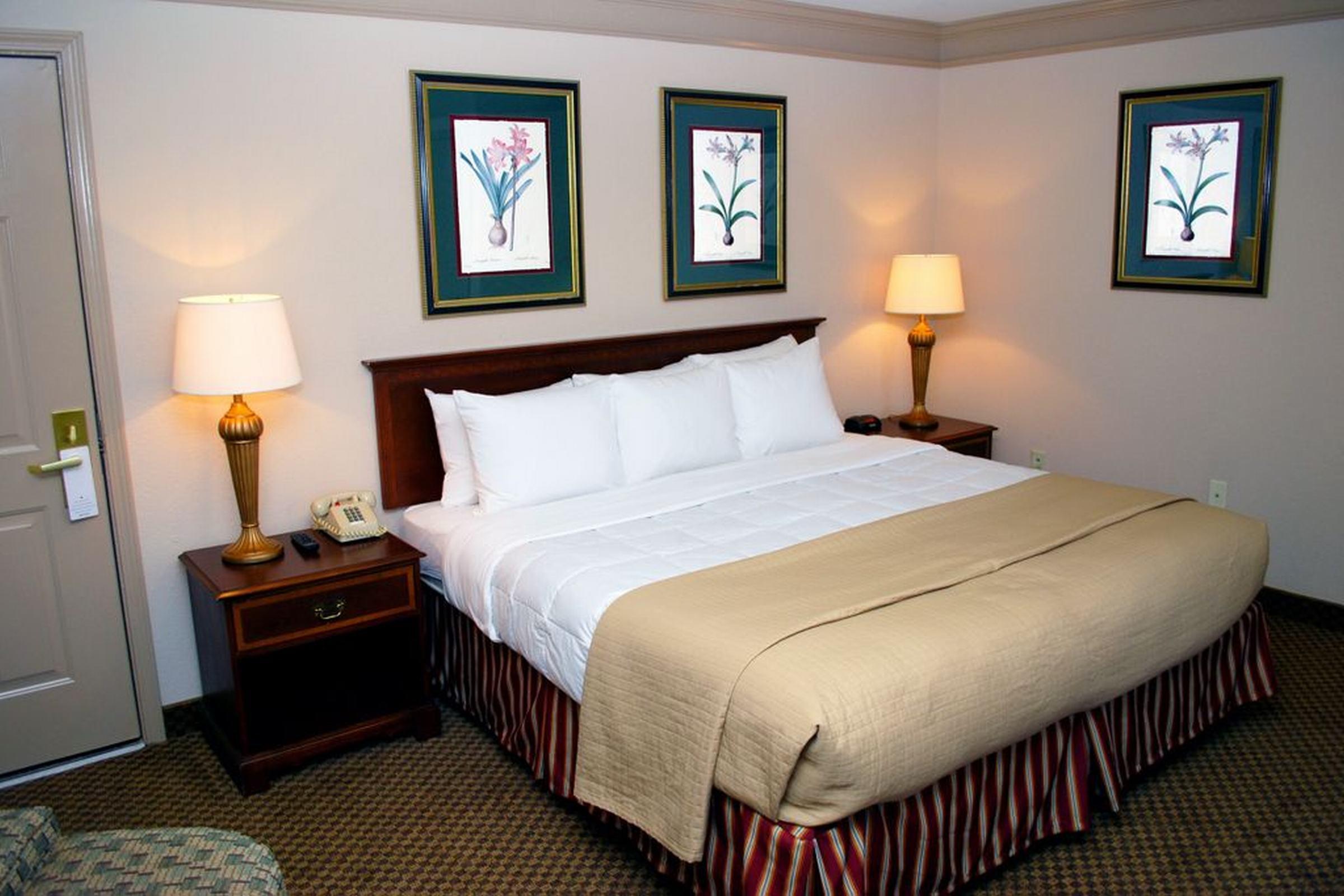Clarion Inn & Suites Atlanta Downtown Exteriér fotografie